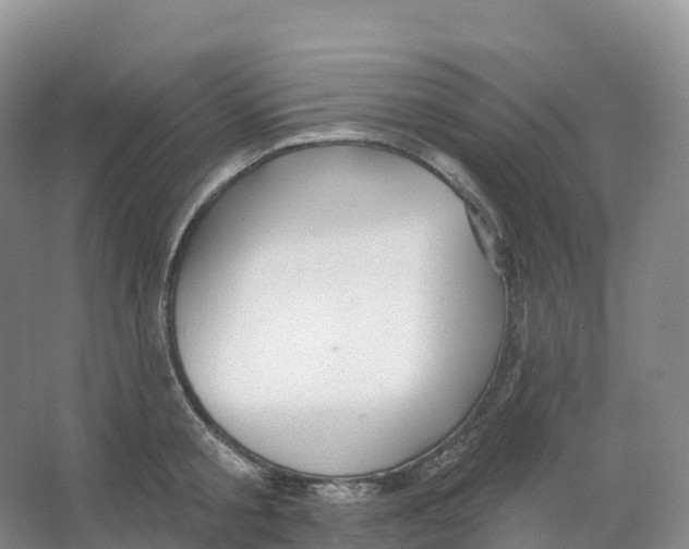 X0000066970805200604142139