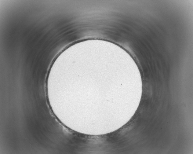 X0000066970807200604142139