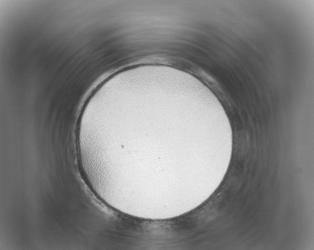 X0000066970808200604142139