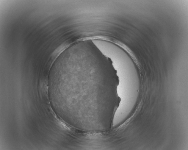 X0000066970809200604142139