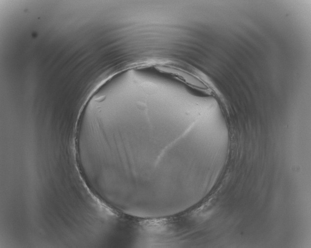 X0000066970810200604142139