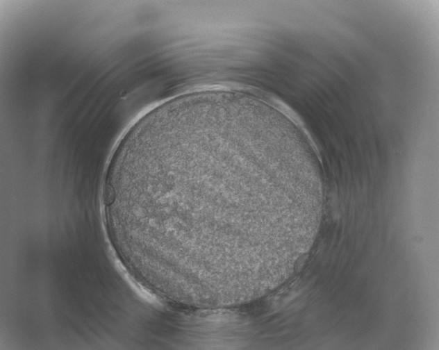 X0000066970811200604142139