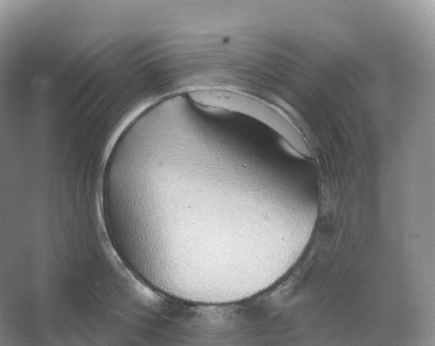 X0000066970812200604142139