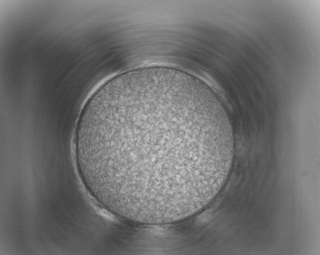 X0000066970814200604142139