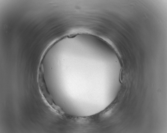 X0000066970815200604142139