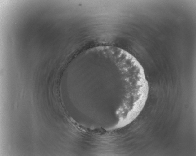 X0000066970817200604142138