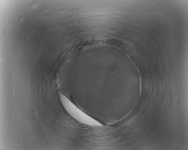 X0000066970818200604142138