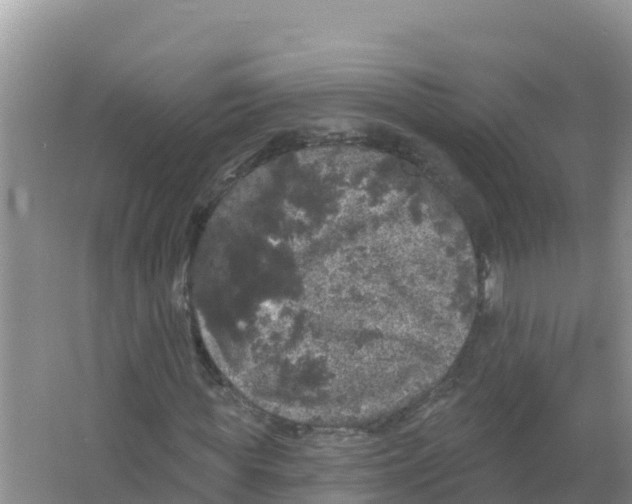 X0000066970819200604142138