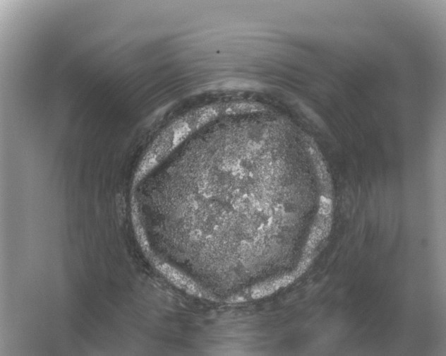 X0000066970821200604142138