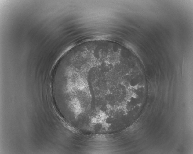 X0000066970827200604142138