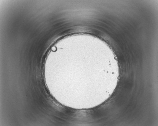 X0000066970828200604142138