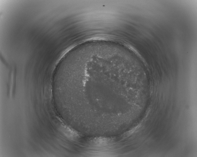 X0000066970829200604142138