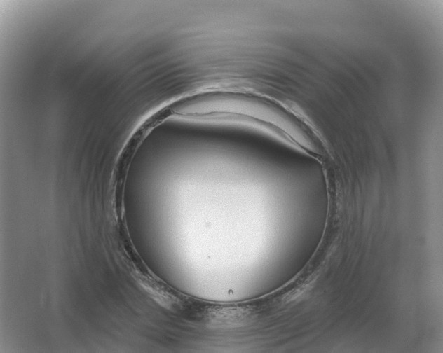 X0000066970830200604142138