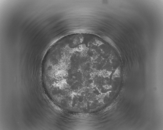 X0000066970831200604142138