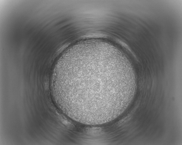 X0000066970833200604142138