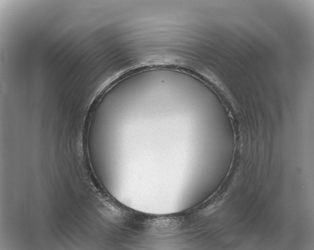 X0000066970834200604142138