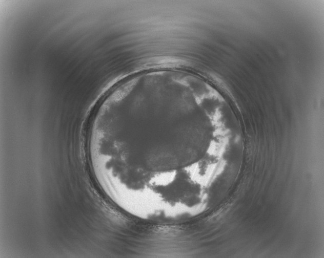 X0000066970835200604142139