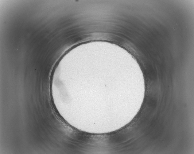 X0000066970836200604142139