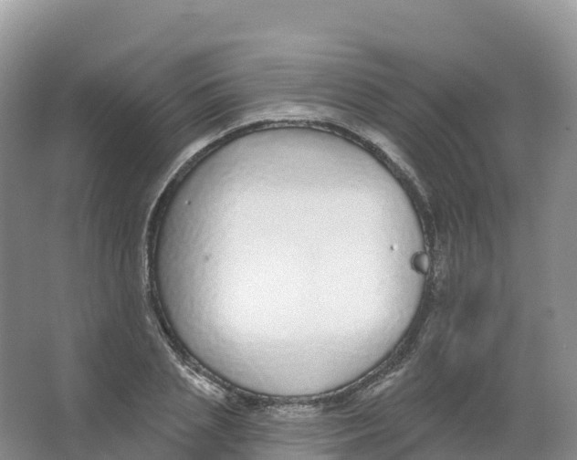 X0000066970837200604142139