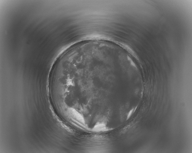 X0000066970839200604142139