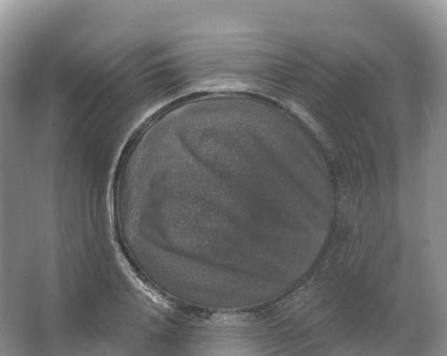 X0000066970840200604142139