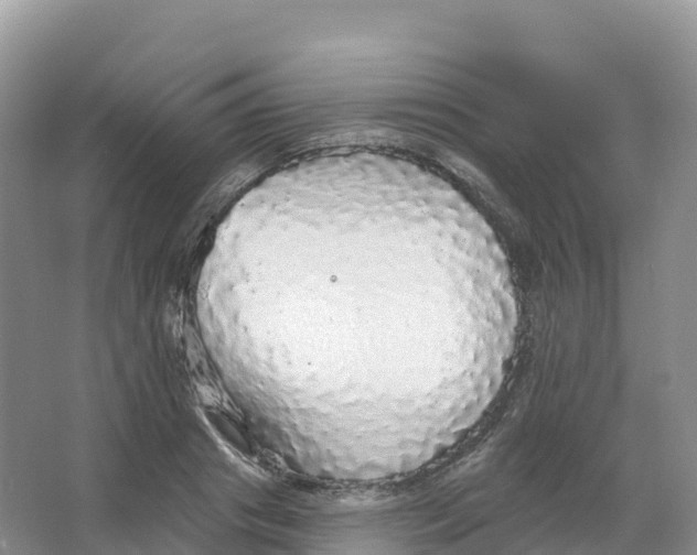 X0000066970841200604142139