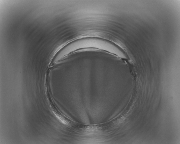 X0000066970842200604142139