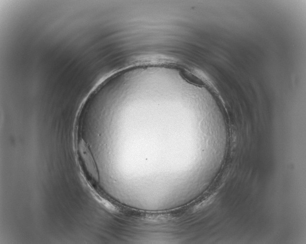 X0000066970843200604142139