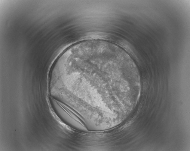 X0000066970844200604142139