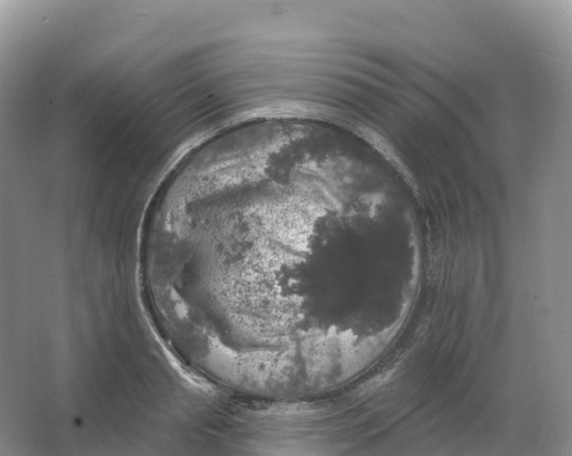 X0000066970845200604142139