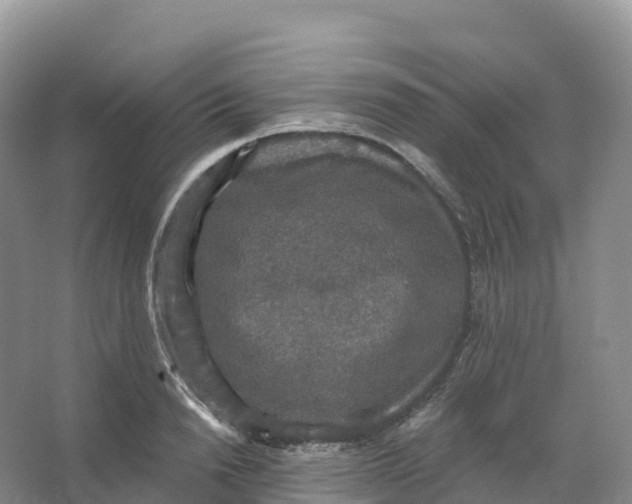 X0000066970846200604142139