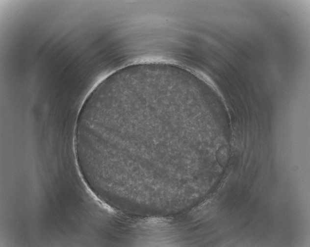 X0000066970847200604142139