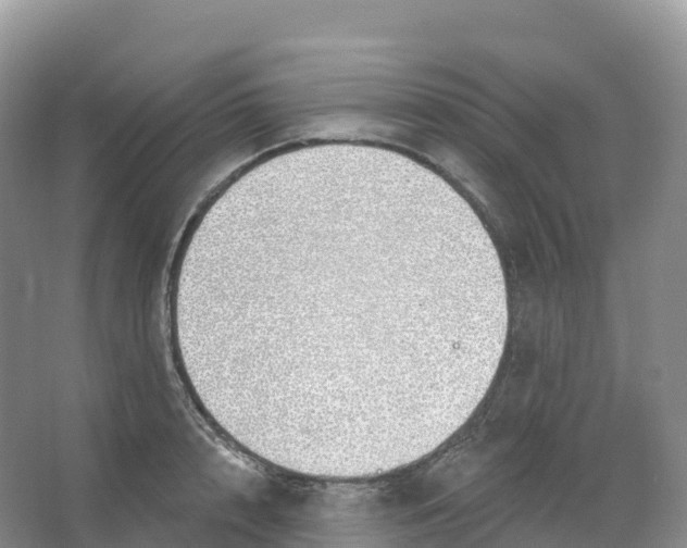 X0000066970848200604142139