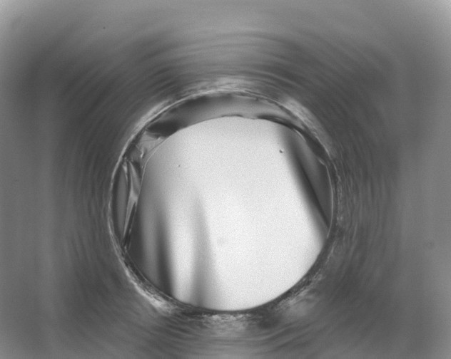 X0000066970850200604142139