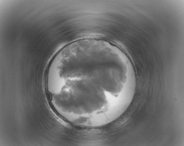 X0000066970851200604142139