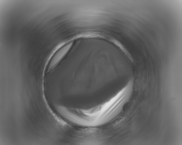 X0000066970853200604142139