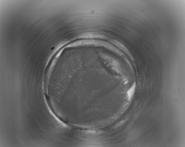 X0000066970855200604142139