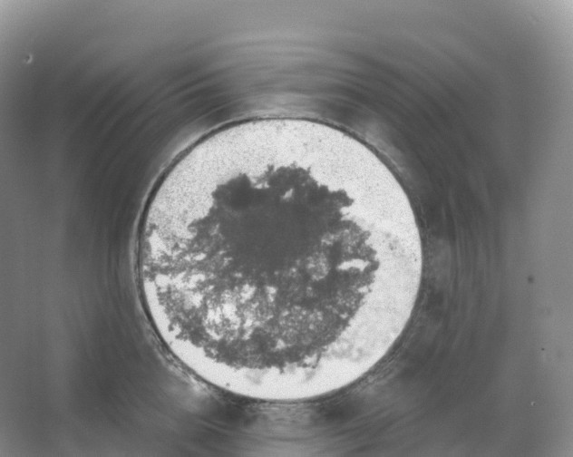 X0000066970856200604142139