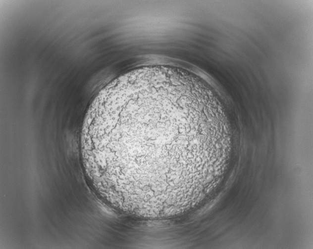 X0000066970857200604142139