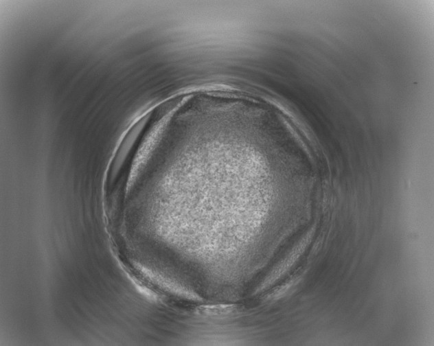 X0000066970858200604142139