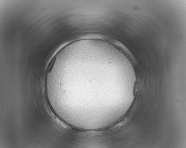 X0000066970860200604142139