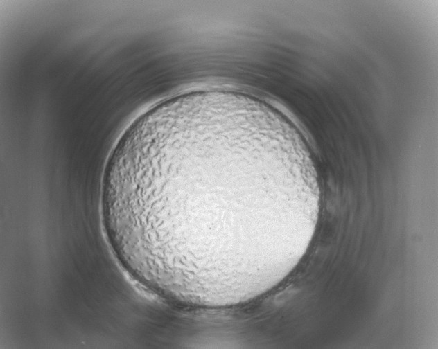 X0000066970861200604142139