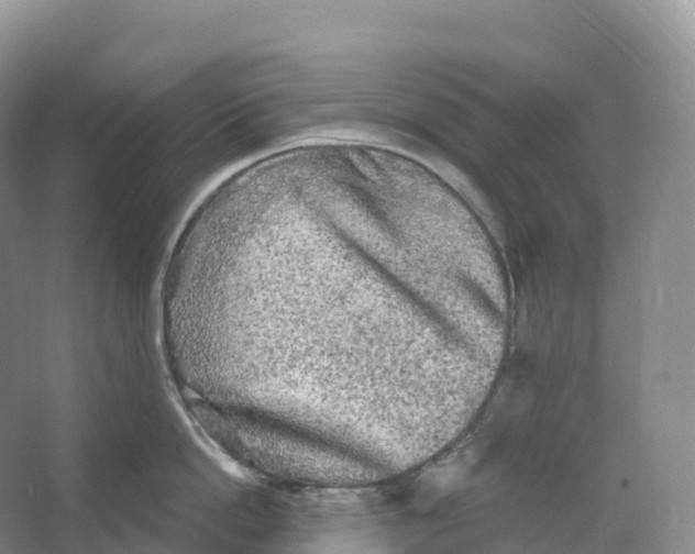 X0000066970862200604142139