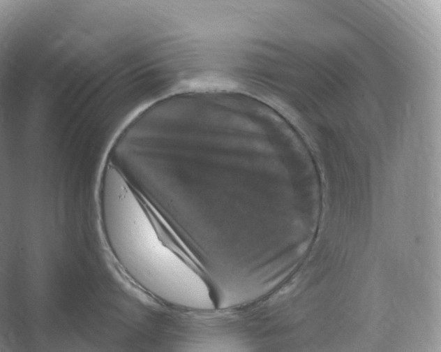 X0000066970864200604142139