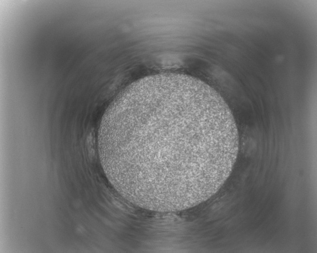 X0000066970866200604142138