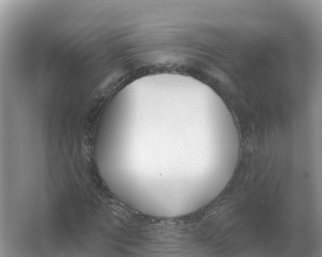 X0000066970869200604142138