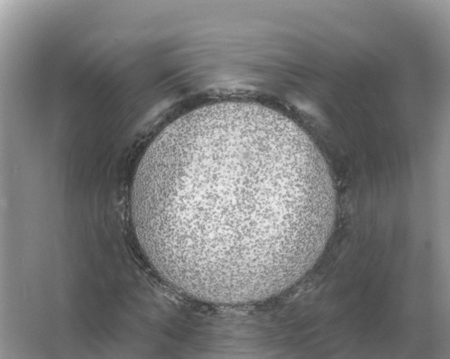 X0000066970870200604142138