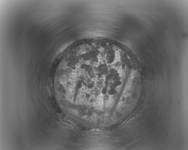 X0000066970871200604142138