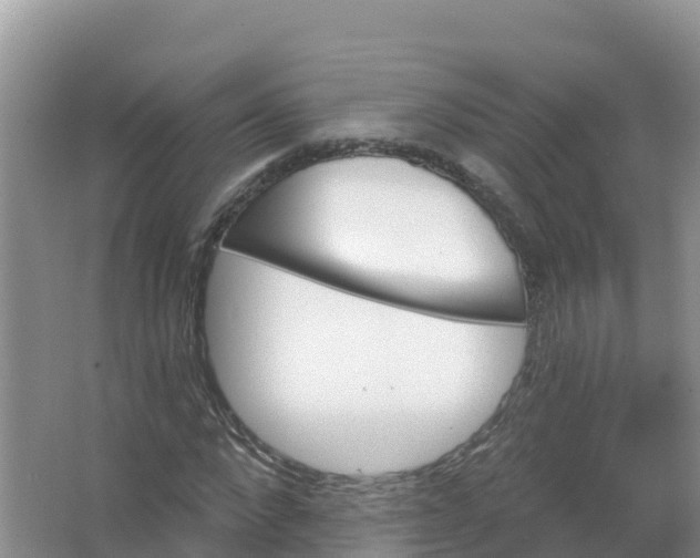 X0000066970872200604142138