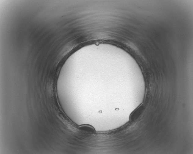 X0000066970873200604142138